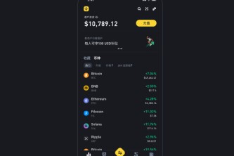 binance交易所下载好了怎么登录？安币binance交易平台App下载教程