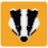 Badger DAO